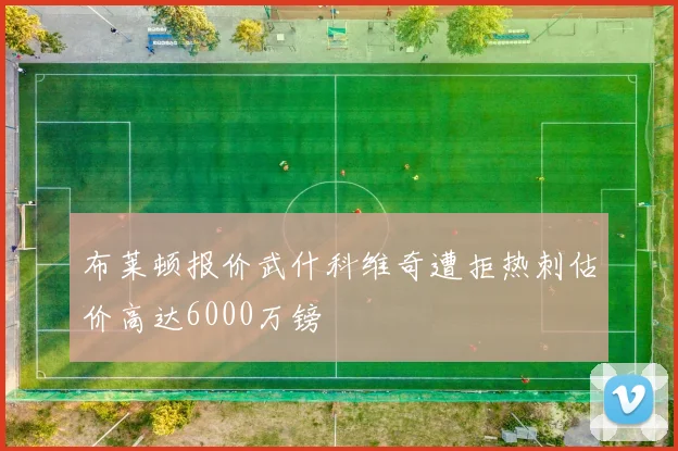 布莱顿报价武什科维奇遭拒热刺估价高达6000万镑