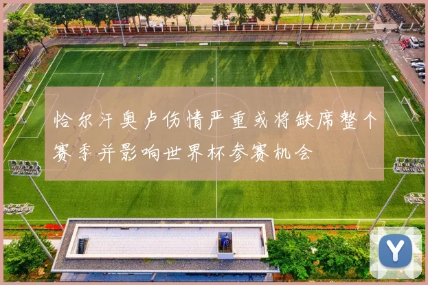 恰尔汗奥卢伤情严重或将缺席整个赛季并影响世界杯参赛机会