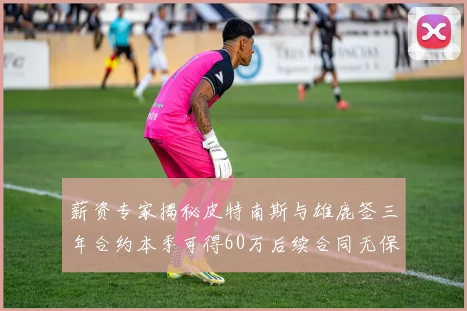 薪资专家揭秘皮特南斯与雄鹿签三年合约本季可得60万后续合同无保障